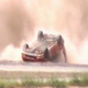 Illustration for article titled Race-Leading Integra Flips On Final Lap Of Buttonwillow LeMons